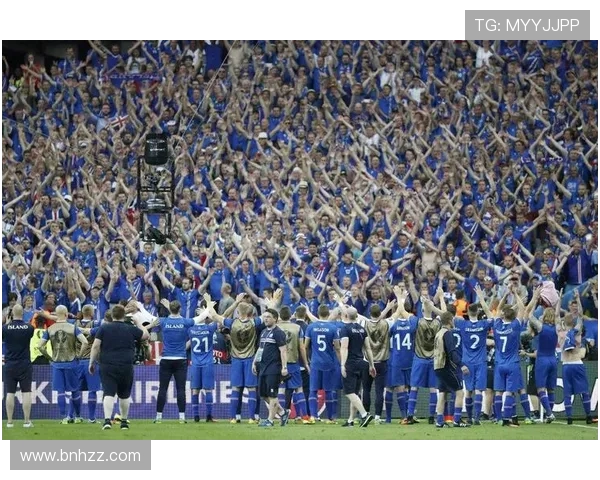 丹麦与爱尔兰足球赛现场直播精彩回顾与赛后分析