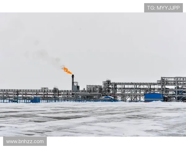 亚马尔地区的能源战略与全球气候变化的应对措施探讨