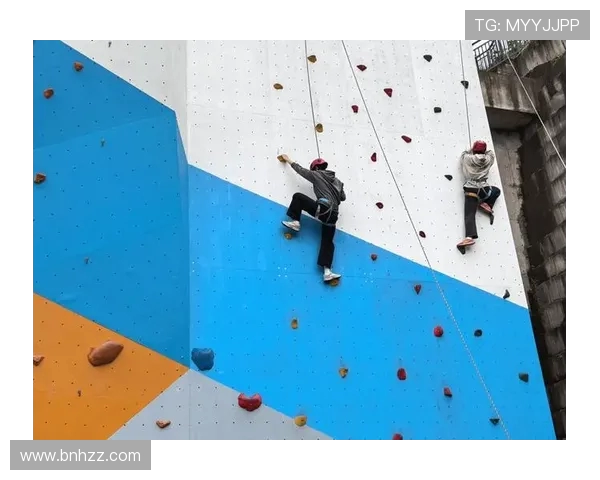 杭州飞盘队在世界攀岩锦标赛中的团队协作表现精彩点评与分析 杭州飞盘队在世界攀岩锦标赛中的团队协作表现精彩点评与分析